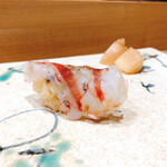 鮨旬美西川 - 車海老 レア