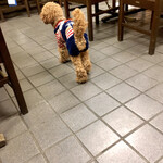 すき焼･鍋物 なべや - ラストオーダー後には、ひめちゃん登場