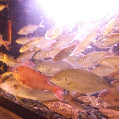 さかなや道場 名古屋太閤通口店 名古屋 居酒屋 ネット予約可 食べログ