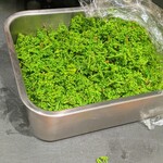 コントワール フー - 