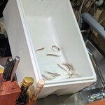 コントワール フー - 