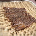 鮨 さかい - 車海老（久米島：養殖）、茹でる前