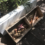 白金シェ・トモ　ナチュラル キュイジーヌ - 