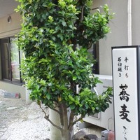 かぶらや - 