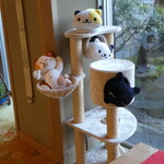 松伯亭あづま荘 - 猫のディスプレー