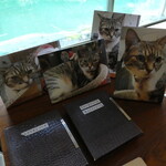 松伯亭あづま荘 - 猫好きな方は自分の愛猫の写真を持ち込んでファイルできます