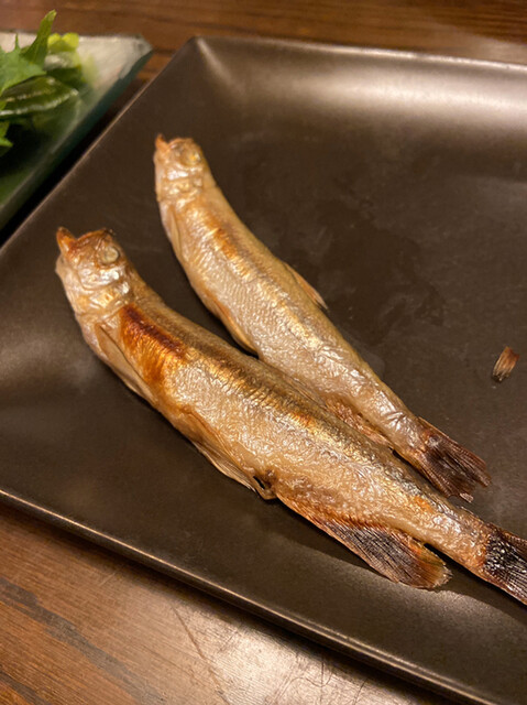 和食家 駿 わしょくや しゅん 札幌 ｊｒ 和食 その他 食べログ