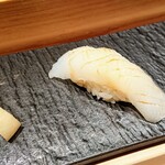 匠 進吾 - アオリイカ