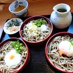 Soba Dokoro Tanakaya - 三色割子そば