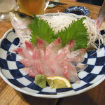 マゴコロ - イサキのお造り