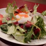 オステリア ブッコ - 