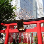 ラーメン二郎 - お稲荷様から桜を望む