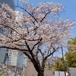 ラーメン二郎 - ここだけ咲き誇っている