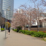 ラーメン二郎 - インターシティ側はほぼ蕾