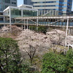 ラーメン二郎 - セントラルガーデンも寂しい限り