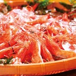 [Limited item/Delivered directly off the coast of Sado] Dancing live Nanban shrimp (sweet shrimp)