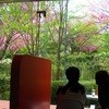 彫刻の森美術館カフェ