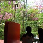 彫刻の森美術館カフェ - 店内風景。ちょうど桜がきれいでした。