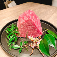 USHIGORO S. NISHIAZABU - 