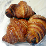 フォルテシモ アッシュ - 