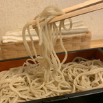 Teuchi Soba Dokoro En - 鴨焼きせいろ