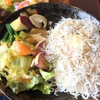 口コミ一覧 : マンチカンズ (旧店名】猫カフェ雫) - 鎌倉/その他