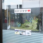 ラーメン二郎 - ミドリフグ♪