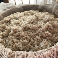 浅草むぎとろ 本店 - 