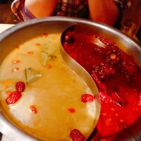 雪梅花 菜根譚 -  雪梅花 菜根譚 -