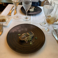 アマルフィイ・モデルナ - 