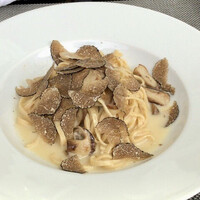 フィオレンティーナ - 