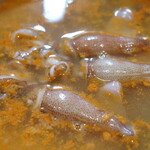 鮨松榮 - 半生蛍烏賊