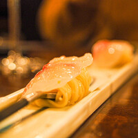 セルサルサーレ - 