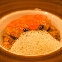 セルサルサーレ - 