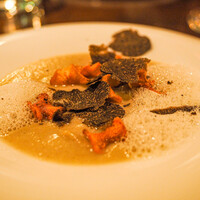 セルサルサーレ - 