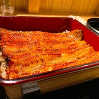 うなぎ 目白ぞろ芽 - 幻の共水うなぎ