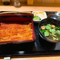 うなぎ 目白ぞろ芽 - 共水鰻重　単品