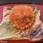 御料理 寺沢 - 毛蟹の甲羅