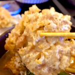 讃岐うどん 白庵 - 