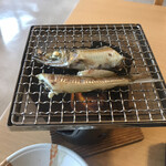 Umiterasu Nadachi Hoteru Kourin - 焼魚（メギス）