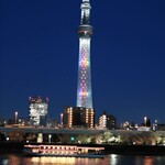 京たこ 浅草店 - お店の横の信号を渡った所にある隅田公園。桜を見に来ました。