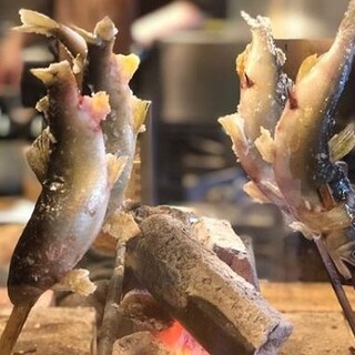 長浜駅でおすすめのグルメ情報をご紹介 食べログ 長浜駅でおすすめのグルメ情報をご紹介 食べログ
