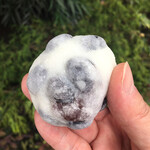 和菓子処 清野 - 