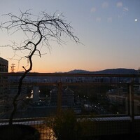 シマラボ - 