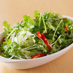 Spicy salad with coriander and fresh chili pepper