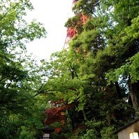 東京 芝 とうふ屋うかい - 