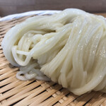 Temmori Udon Yuuji - 見事なうどん麺