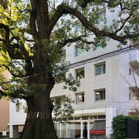 クリマ ディ トスカーナ - 