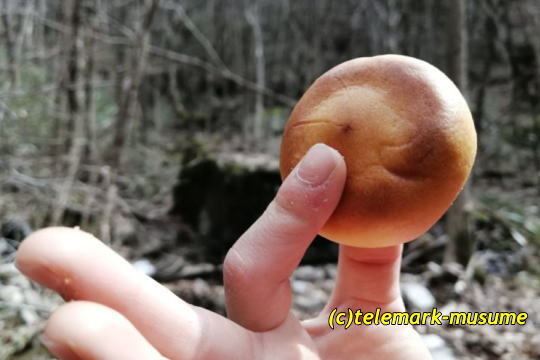 柏屋 あぶくま洞店 - 神俣（和菓子）の写真