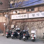 느티나무・곰이복이 - 